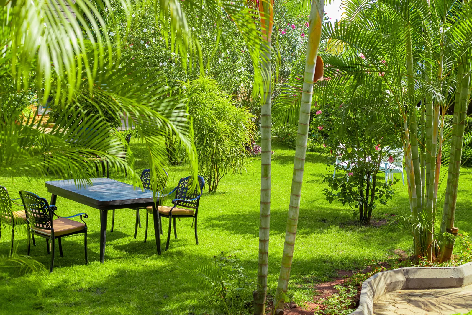 Manicured garden and seating under the palms