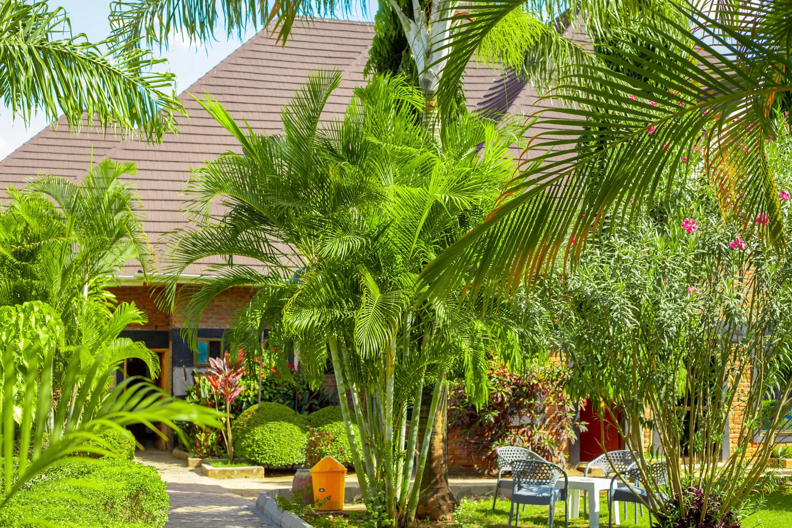 Garden (3)