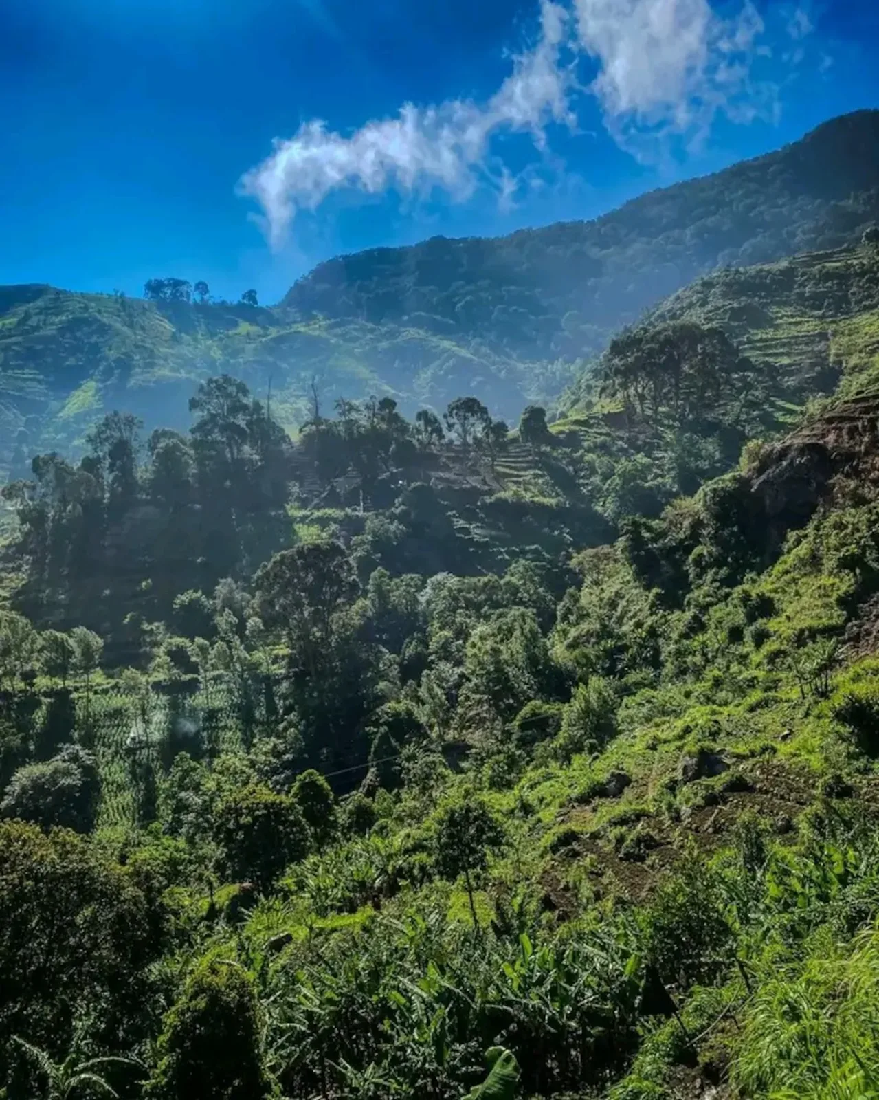 uluguru hills 2